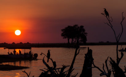 Chobe NP