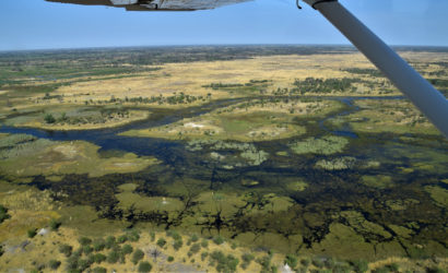 Okavango Delta